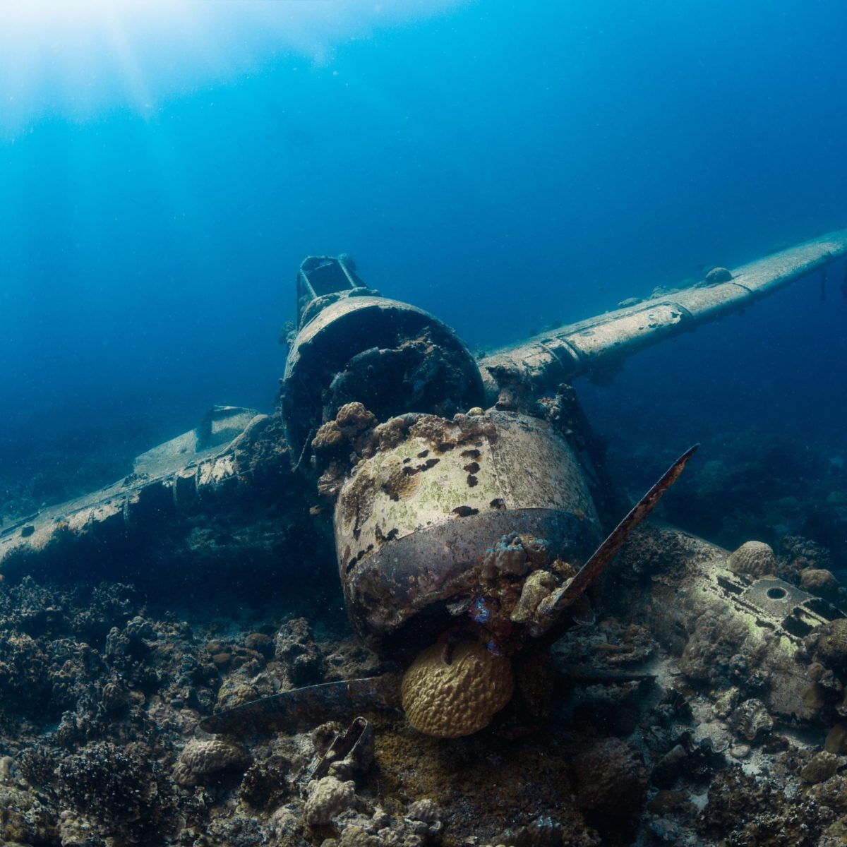 Micronesia - Beneath the Waves